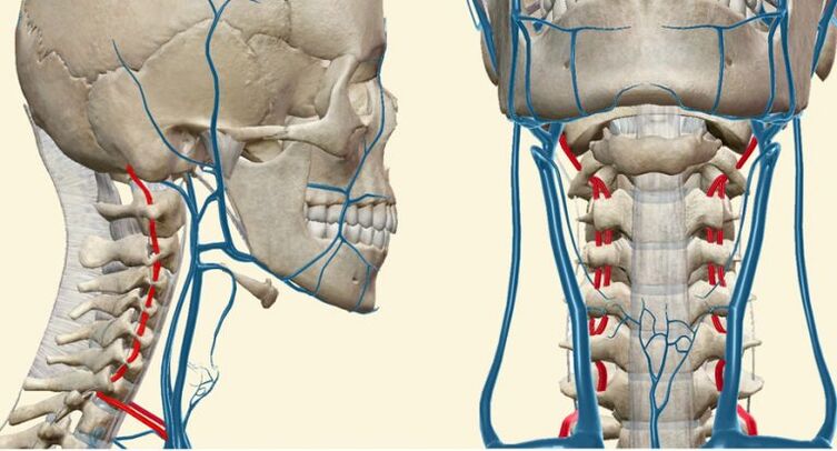 Síndrome vascular en osteocondrose